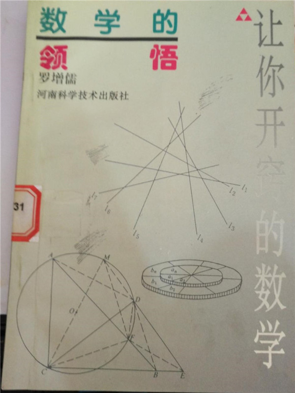 《数学的领悟》_副本.jpg